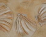 Muscheln 120cmx60cm